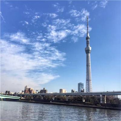 屠龙破晓王宝强版下载